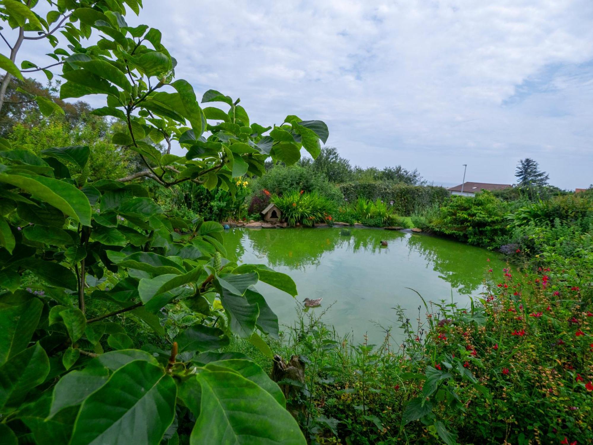 La Casa De Las Palas Tok-Pok Mogro Bagian luar foto